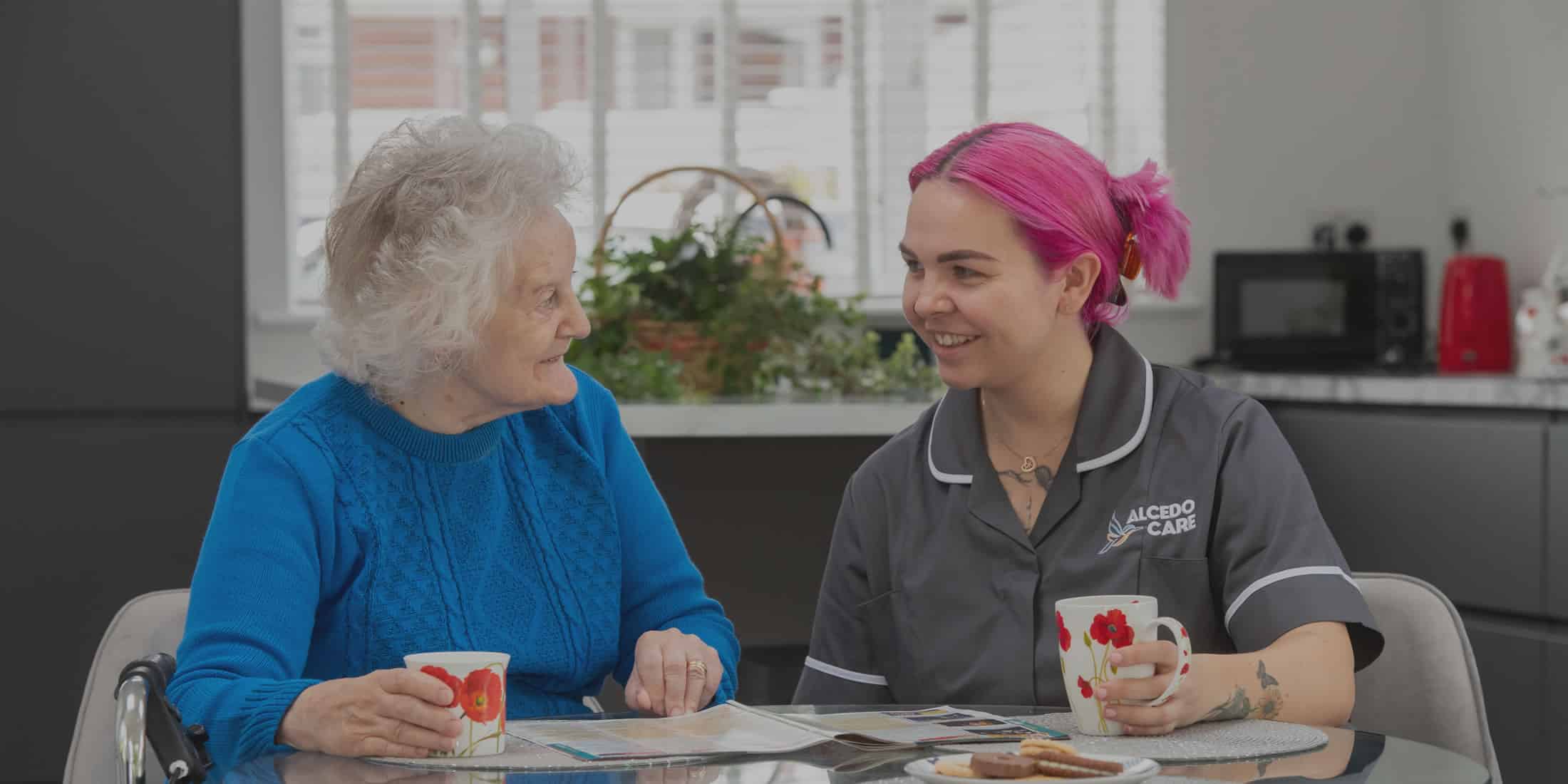 Alcedo Care Services